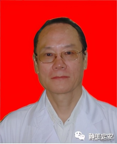 定安南宗道教,南宗道教交流大会