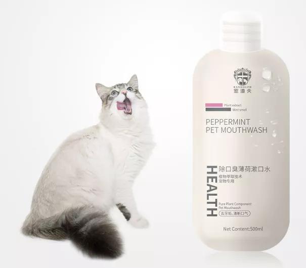 棣欓鐨勫皬鐚挭鍥剧墖,棣欓鐨勫皬鐚挭閰嶉煶