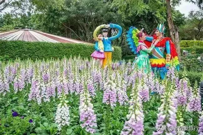 三八妇女节旅游景点门票哪里免费,三八妇女节有哪些景点免门票的