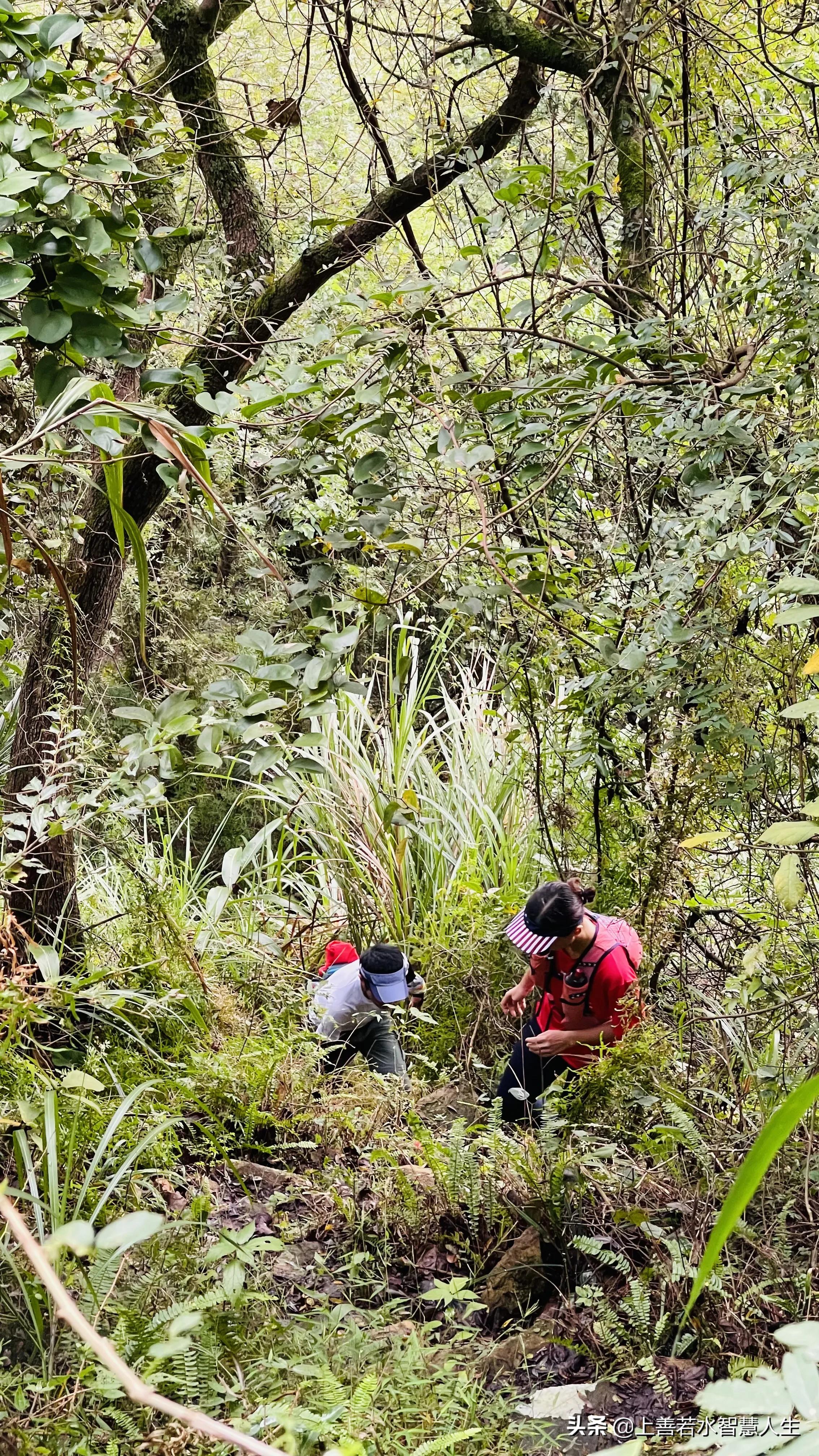福州湖顶山观景平台风景,湖顶山观景台福州又一处登山美景