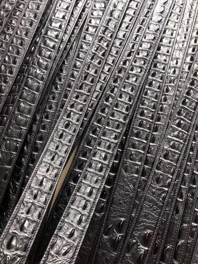 真正的鳄鱼多少钱,超吓人的鳄鱼