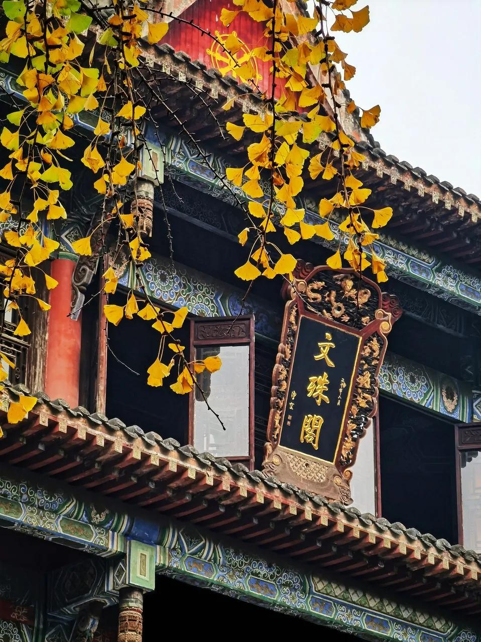 这样的成都你还爱吗,这样的成都你见过吗