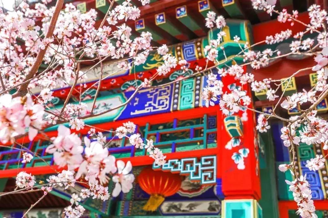 千年古镇杨柳青镇,千年古镇杨柳青王家