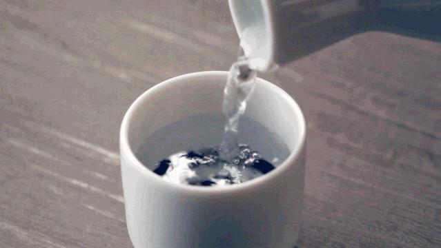 张柏芝日本游,张柏芝日本旅游