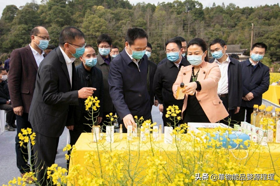 江西婺源油菜花音乐节,婺源油菜花文化节