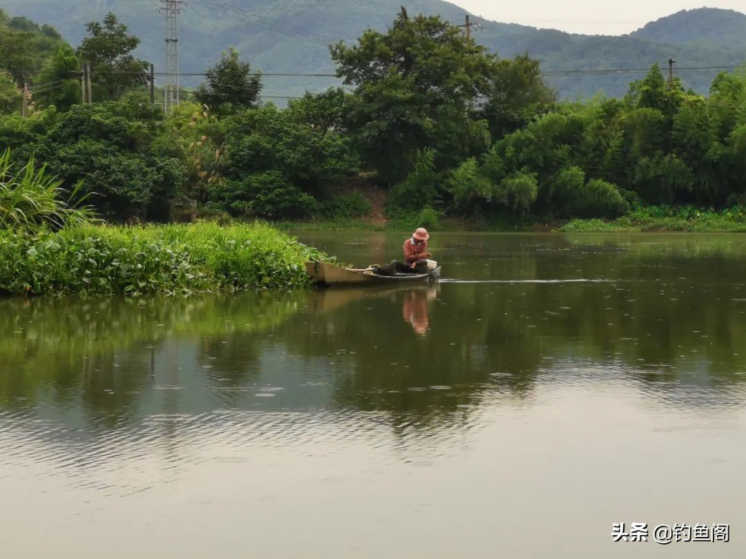 被电过的地方还能钓鱼吗,被电的水域多久能钓鱼