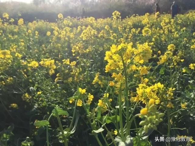 郑州黄河风景游览区五一免门票吗,107复线郑新黄河大桥收费吗