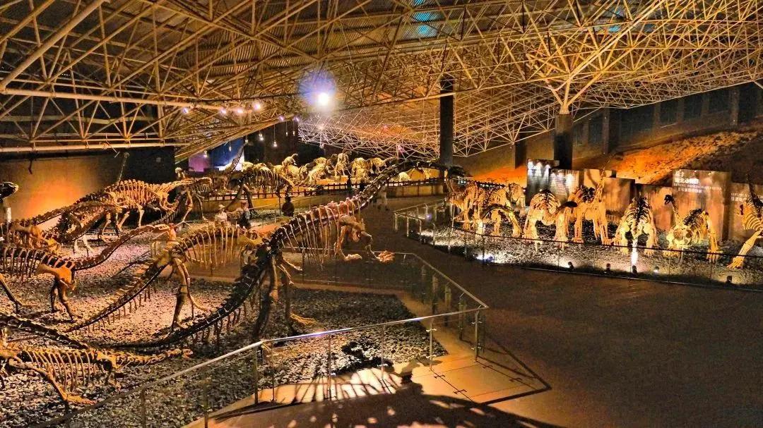 云南研学旅行路线推荐,云南寒假研学游推荐