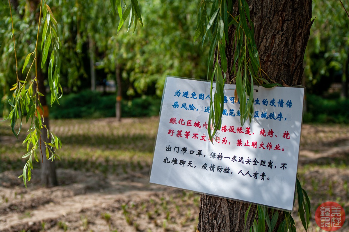 老镜记，Contax35-135/3.3-4.5改装宾得口并试镜