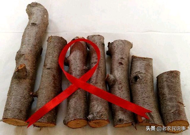 桃木和普通木的区别,桃木和普通的木头有什么区别