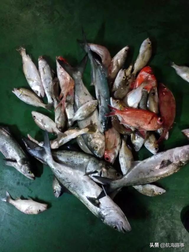 航海船舶有趣科普,老船长带你了解海员生活