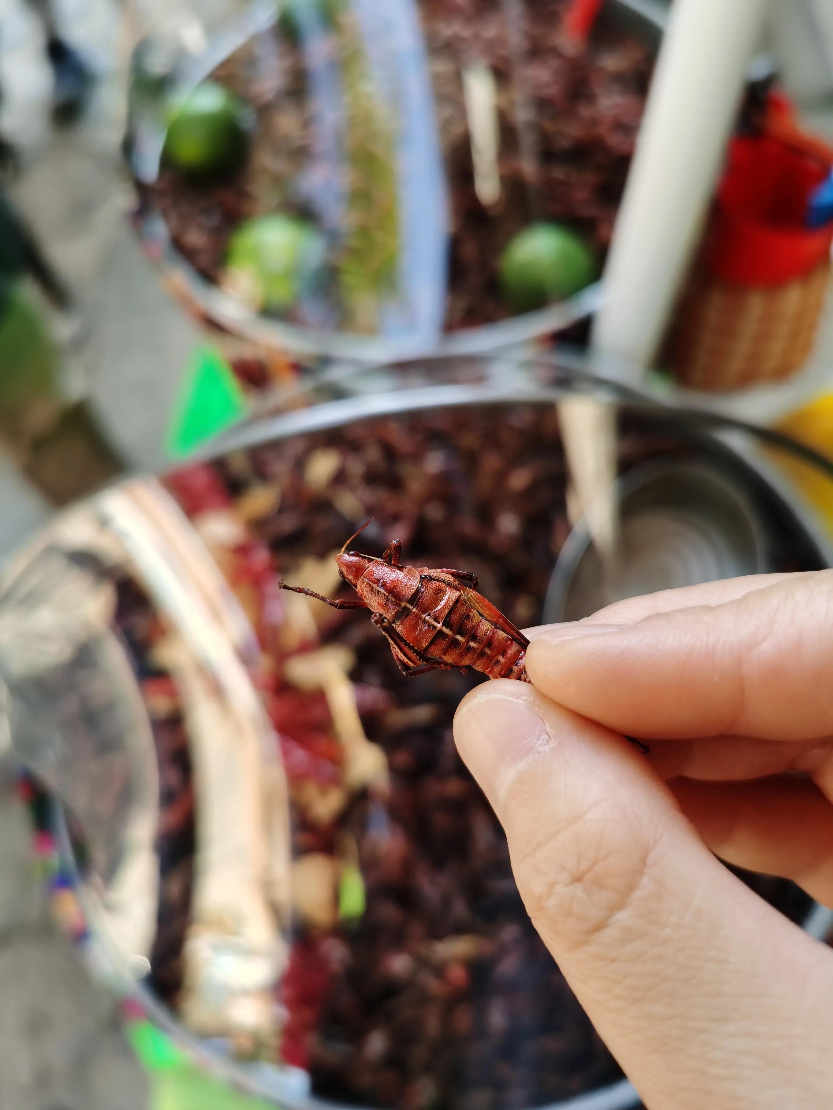 墨西哥第一大小镇,墨西哥的风景小镇