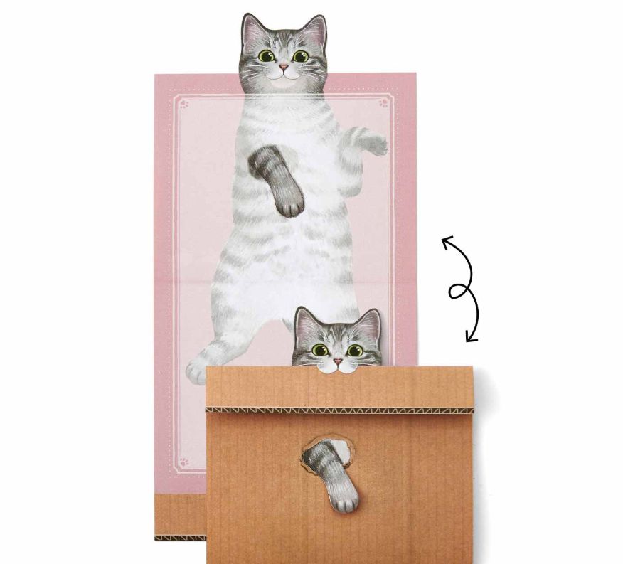 日本人又来骗猫奴们的钱啦!但我心甘情愿掏钱了!