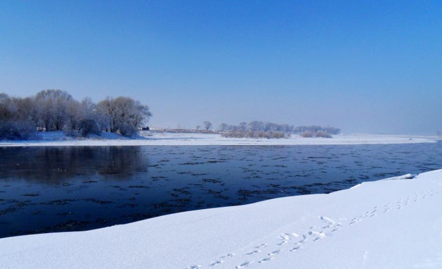吉林十大好酒排名,吉林十大名酒最性价比