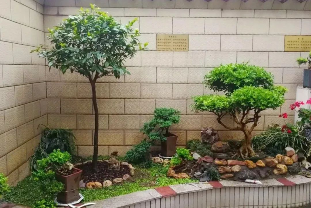 羡慕!快来看看江阴申港街道这些“美丽”榜样