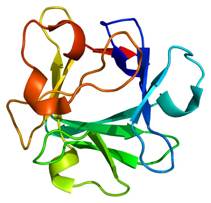 egf生长因子科普视频,表皮生长因子egfr野生型