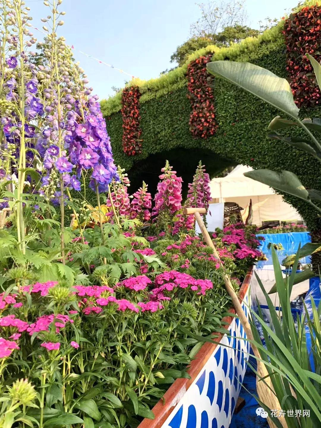 共赴盛会活动,香港国际花卉展