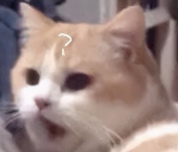 卖气球赚钱小项目,春节卖气球另类赚钱生意