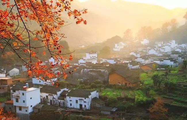 婺源篁岭赏秋,晒秋江西婺源篁岭