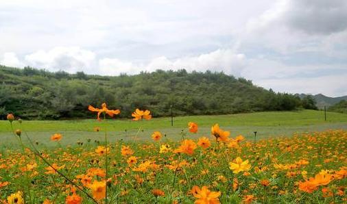 曝光关于鸿星尔克的视频 (鸿星尔克爆火之后的现状)