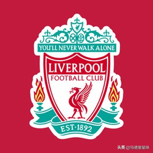 marca足球,marcin的评价