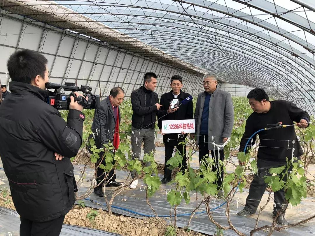 厉害！这个百万养虾大户，被评为全县淡水养殖状元！