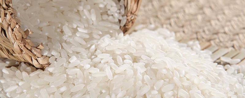 消灭米里的小黑虫最快的方法,米有虫怎么办还能吃吗