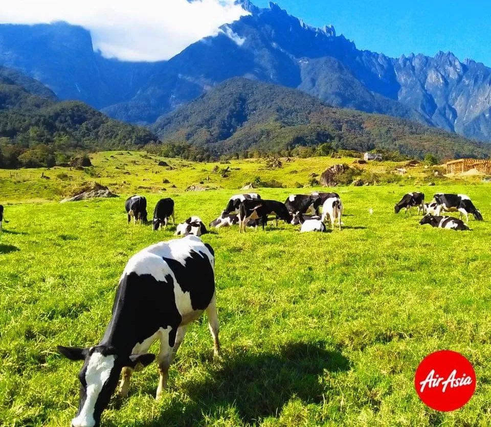 暑期沙巴旅游报价,暑假沙巴