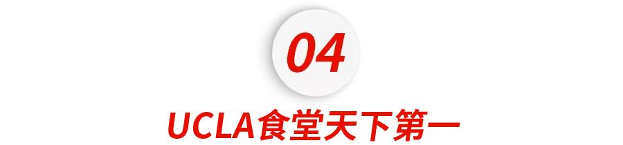美国奥运会冠军最多的大学,美国奥运奖牌最多的大学
