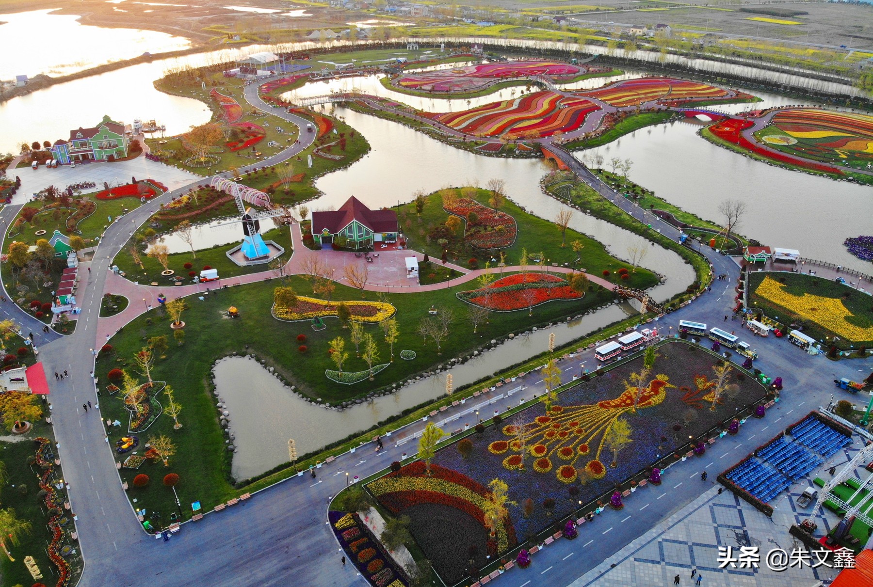 大丰荷兰花海郁金香开了没有,荷兰花海现在有郁金香吗