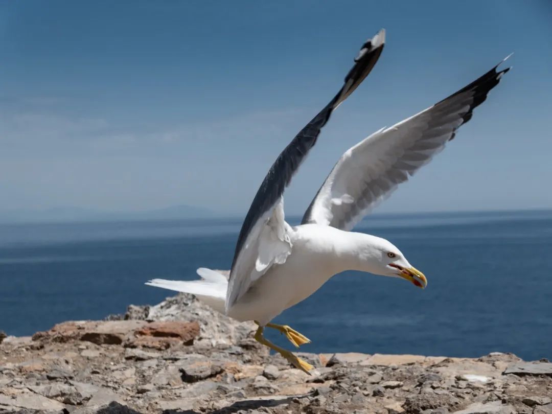 徕卡便携相机的lux7,徕卡便携款价格表