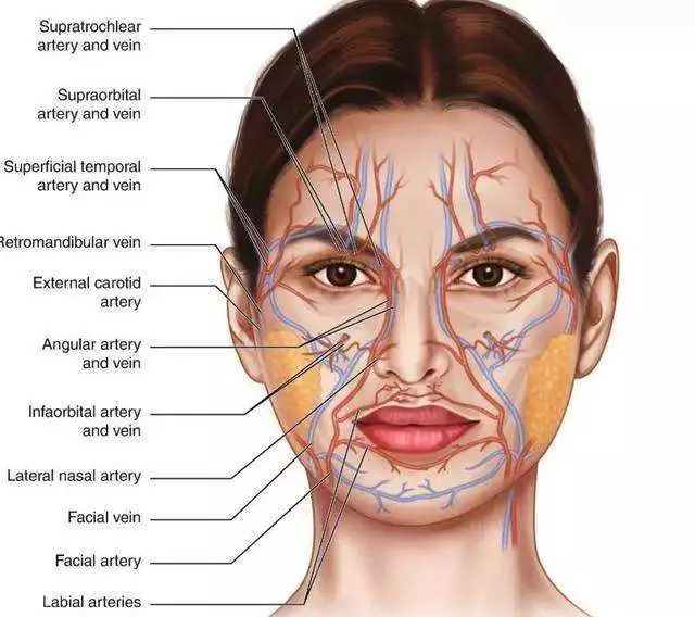 挤痘进了ICU，连下两次病危通知？这痘痘到底还能不能挤！
