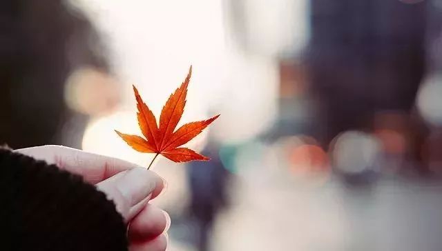 加拿大移民需要多久才能移民成功,手把手教你加拿大移民新政策