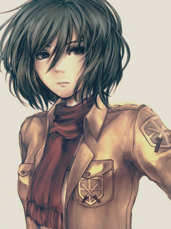 进击的巨人三笠和兵长有关系吗,进击的巨人三笠的真实身份