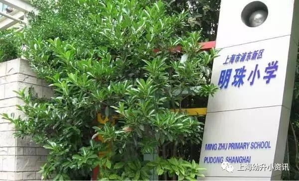 上海各区排名前十的小学,上海静安区公办小学排名一览表