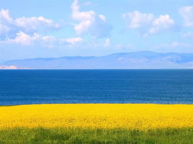 重温刀郎西海情歌,盘点刀郎西海情歌