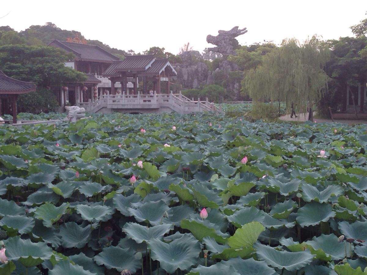 鹧鸪天雪山美人,鹧鸪天咏温泉