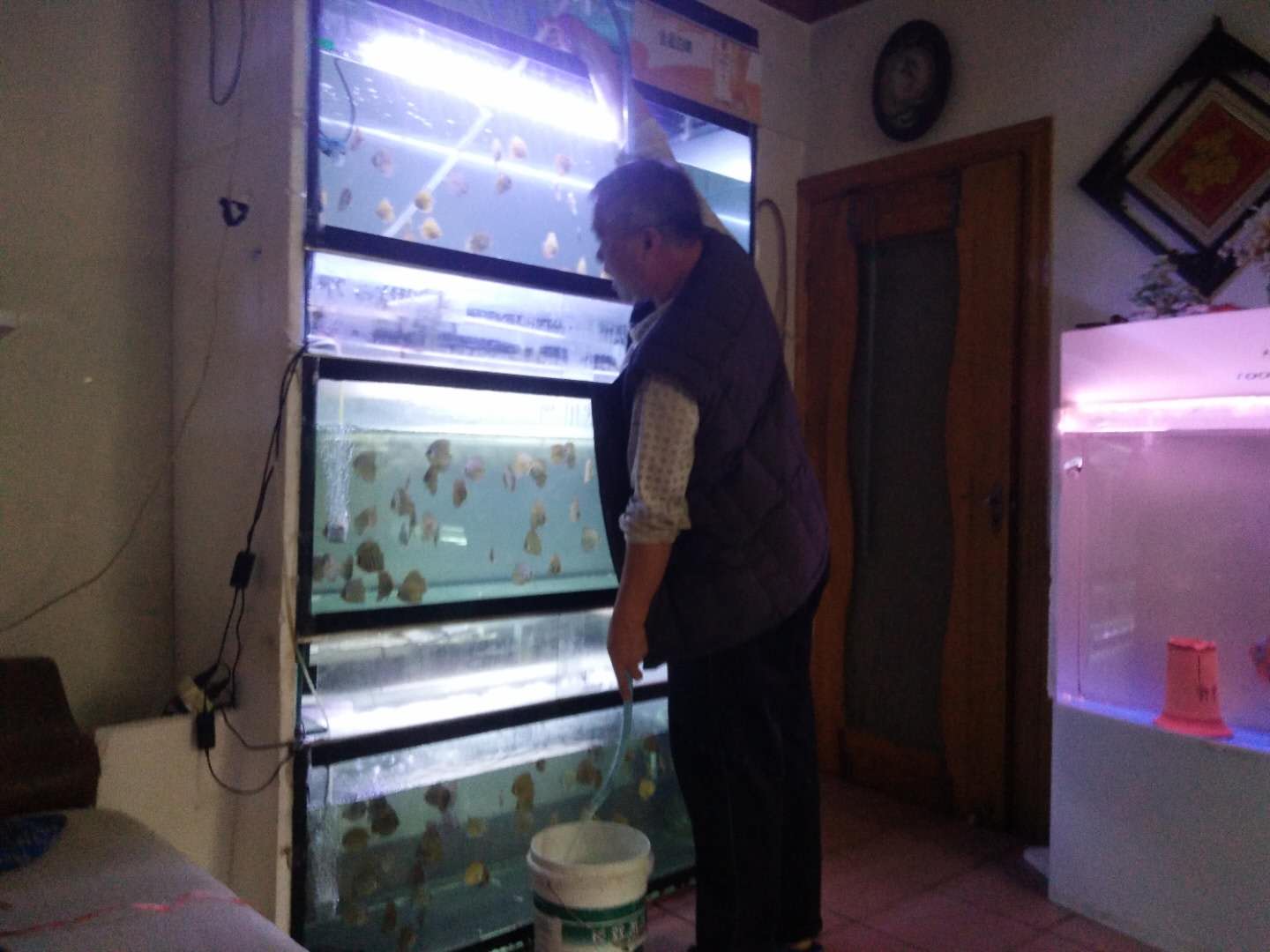 怎样去除鱼缸内壁污物,鱼缸底部脏东西循环不出去怎么弄