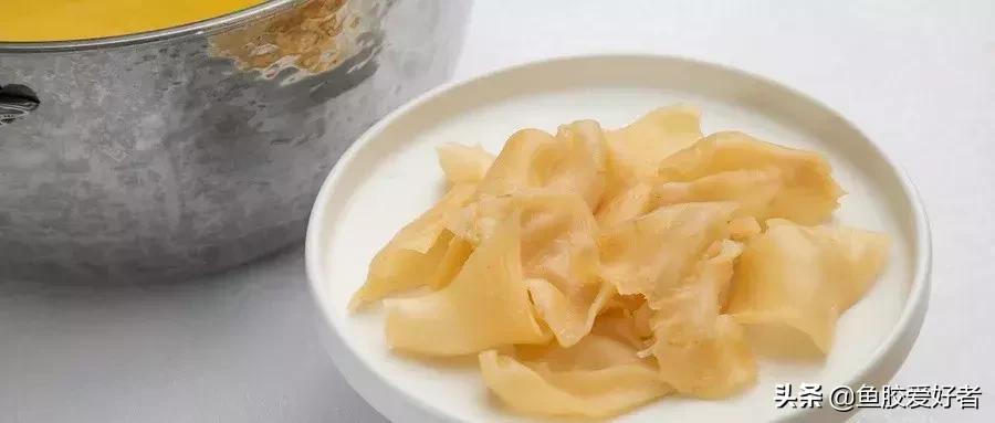 鱼胶小知识,鱼胶小课堂