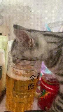 搞笑gif趣图这只狗狗是不是开挂了,搞笑gif趣图乌龟泼猴你别推我