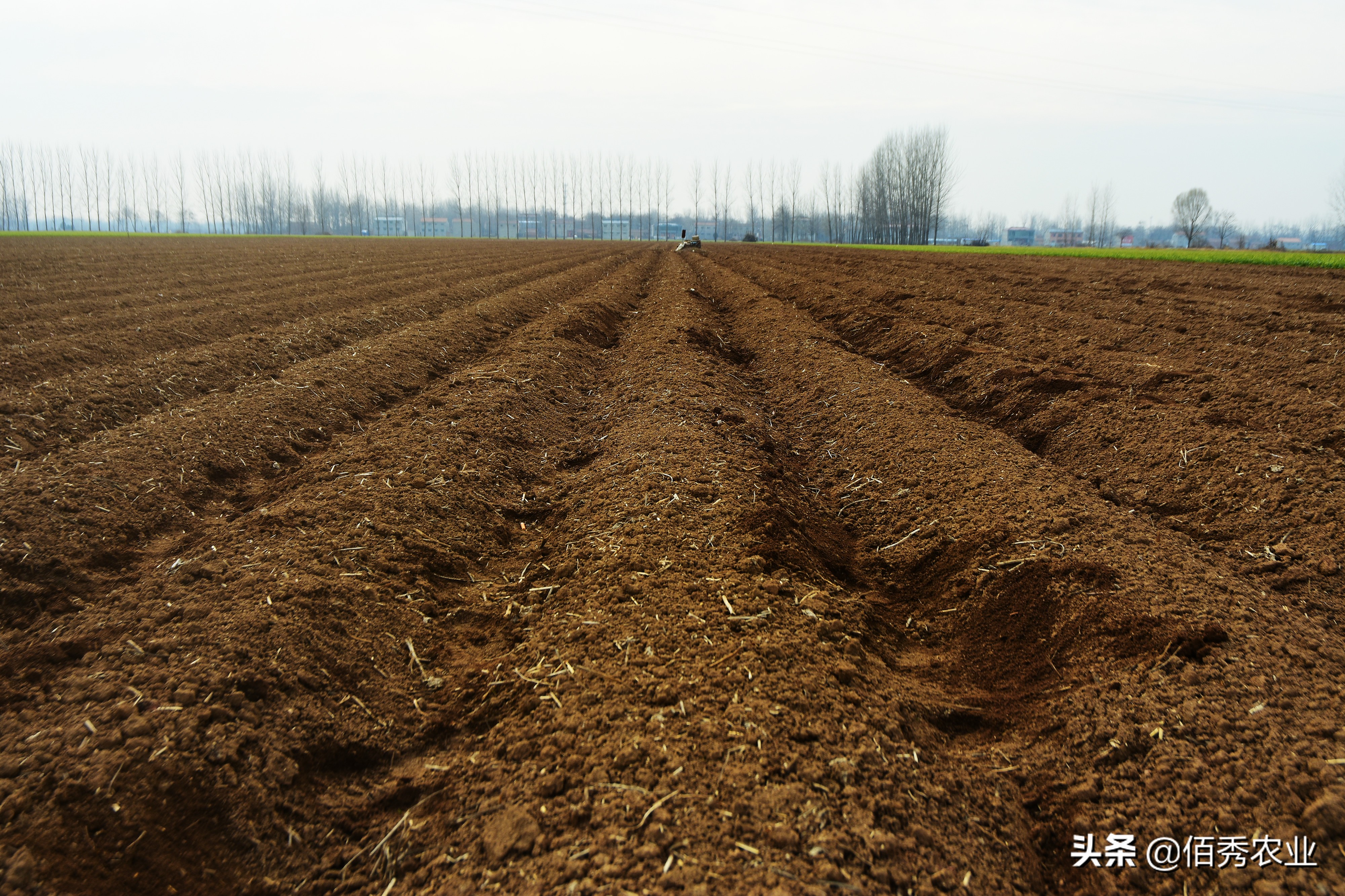 农村遇到合不来的邻居怎么办,遇到邻居拱地边怎么办