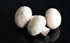 山东聊城莘县十大特产,莘县特产蔬菜是什么