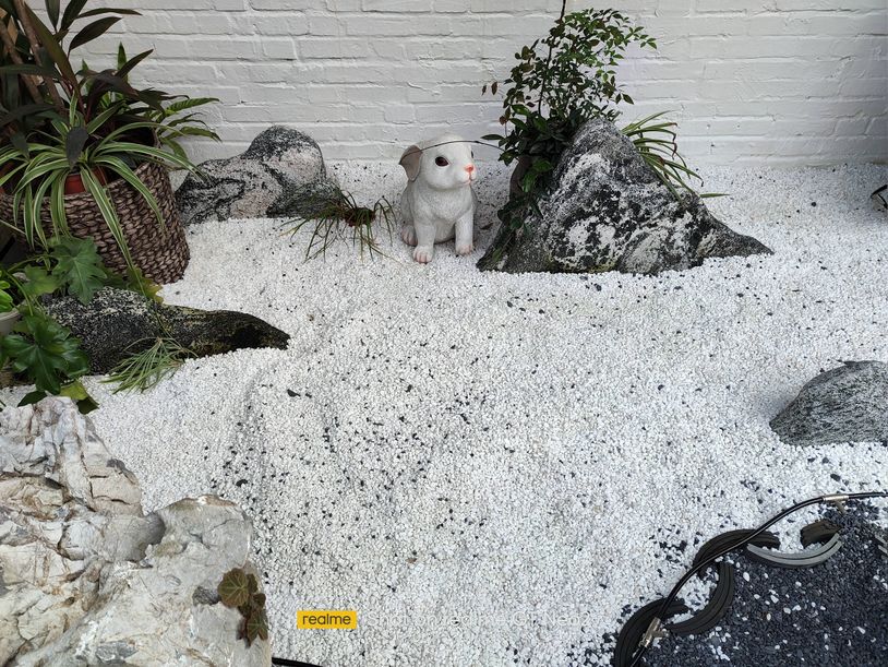 realme870鎵嬫満,realme870