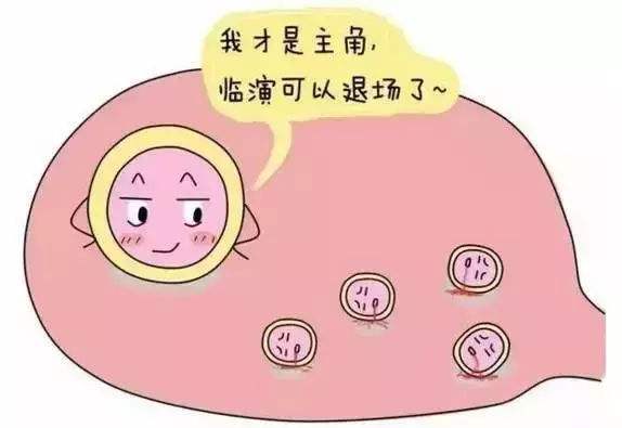 为什么卵泡长不大长不圆,为什么卵泡怎么也长不大不排