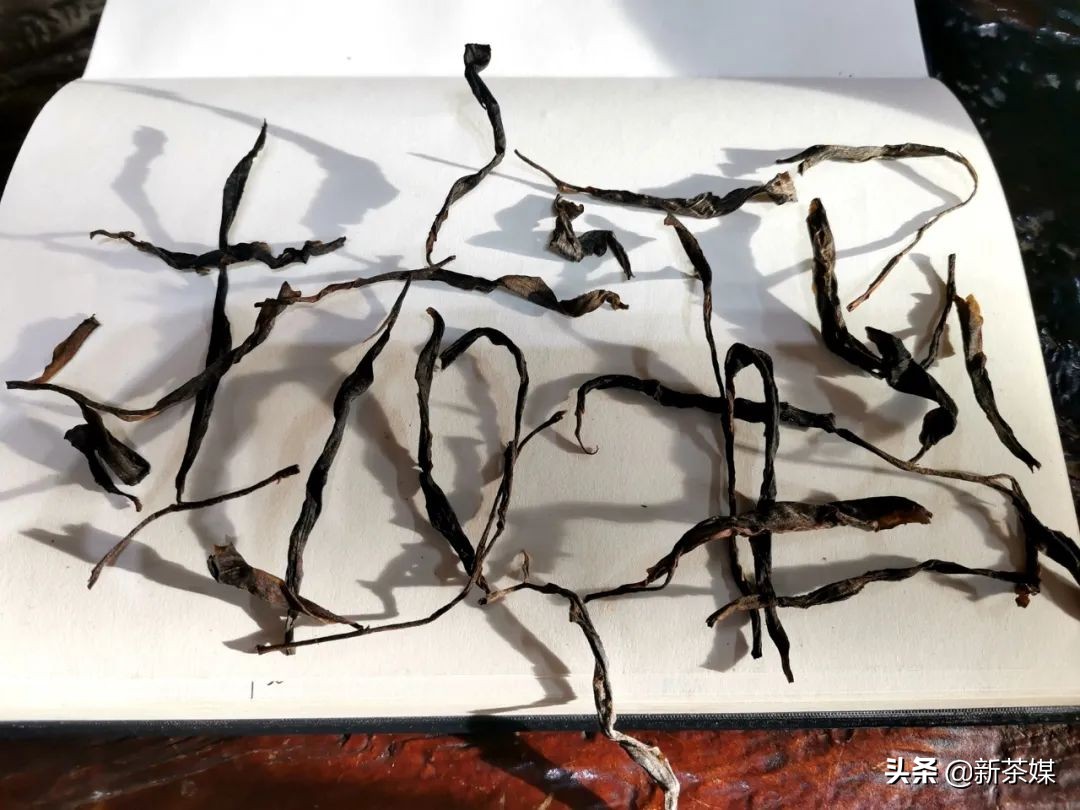 南糯山拔玛寨茶的特点,南糯山拔玛茶介绍