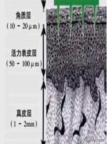 祛痘咨询科普,祛痘咨询中医调理