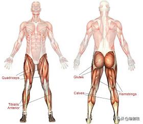 瑜伽桥式体式图及功效,瑜伽桥式和臀式一样吗