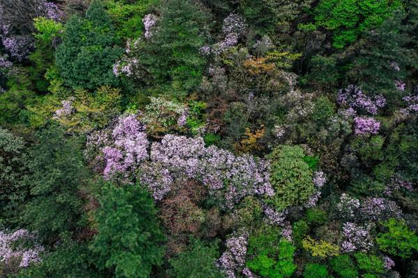 宜春旅游攻略住宿,宜春住十天左右民宿好还是酒店好