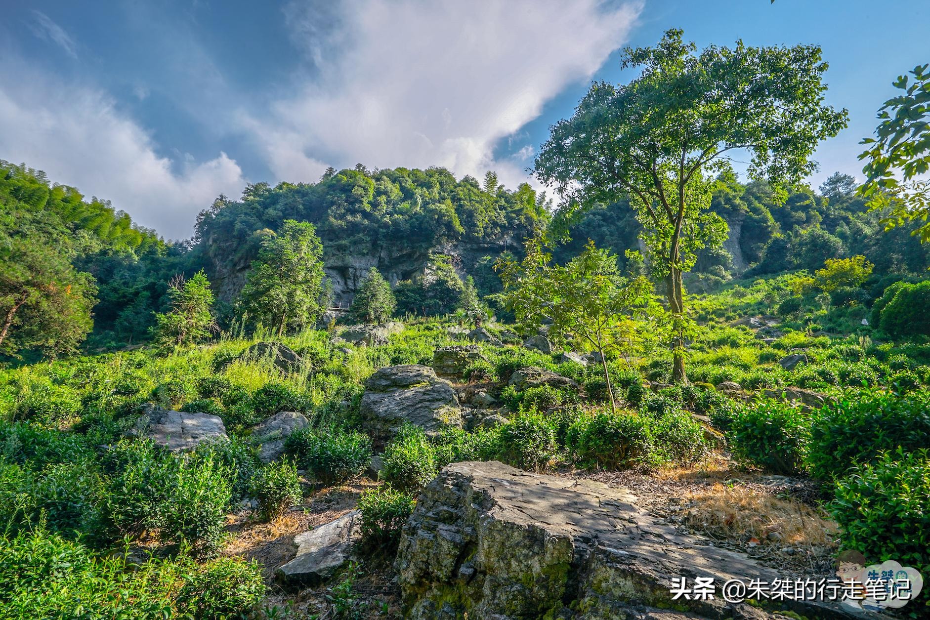 皖西大裂谷有很多山洞,皖西大裂谷景区