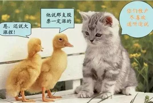 a股股民心声,a股股民翻译